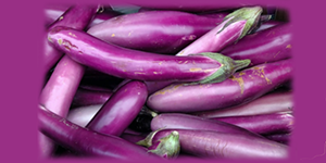 Eggplant