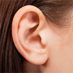 Ears