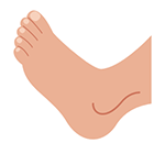 Foot