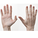 Hand