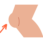 Knee