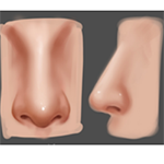 Nose