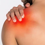 Shoulder