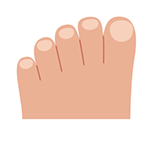 Toes